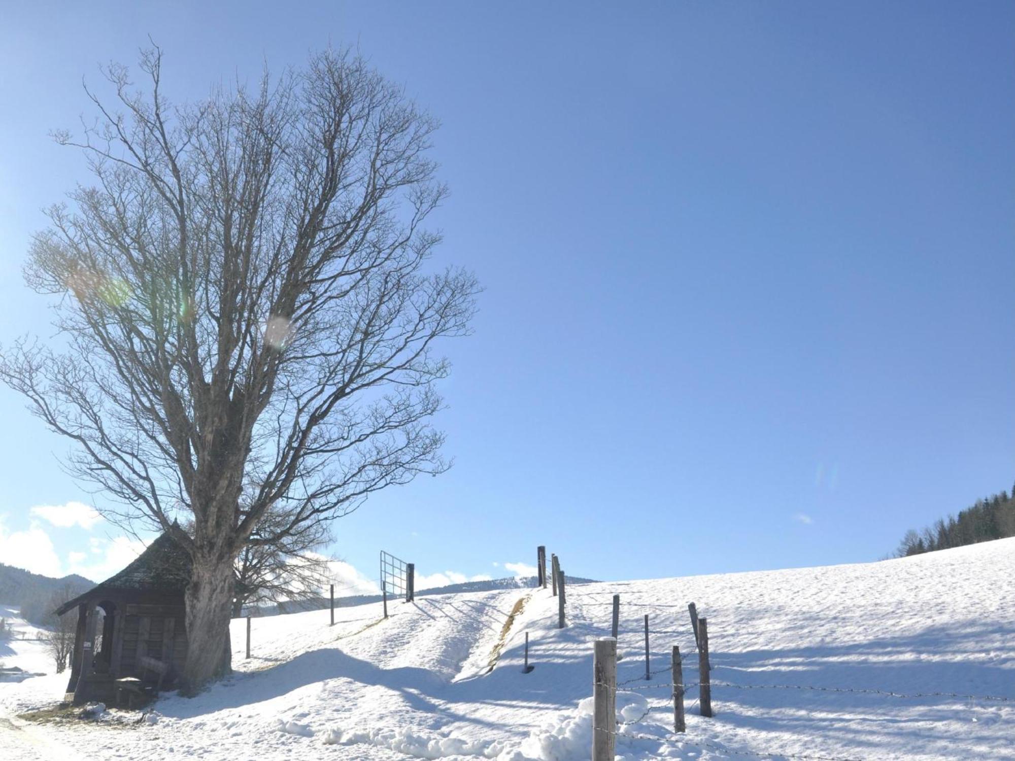 Grebenzen Eiszeit Lodge Санкт Ламбрехт Екстериор снимка